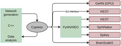 Benchmarking Neuromorphic Hardware and Its Energy Expenditure